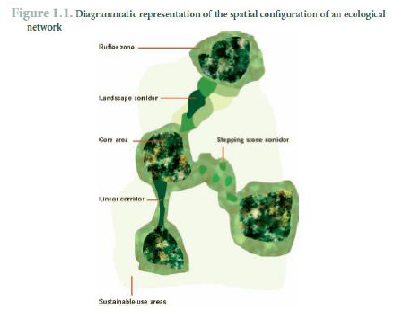 Aden Fig 6 Aden Fig 6